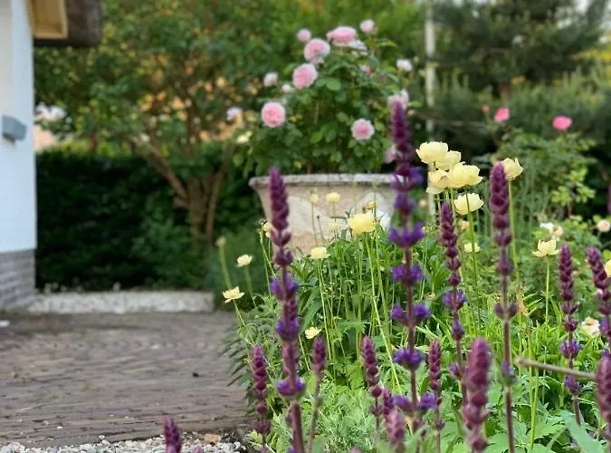 Royal Veluwe * Putten